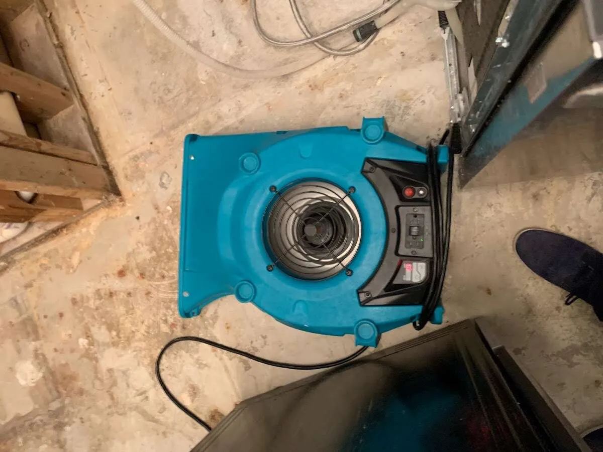 Air mover drying equipment for Mold Remediation & Removal in Sycamore